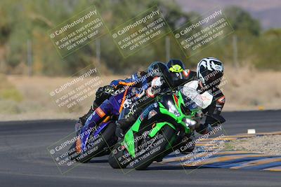 media/Nov-11-2023-SoCal Trackdays (Sat) [[efd63766ff]]/Turn 7 (2pm)/